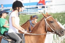 Конные соревнования в Набережных Челнах снова прошли без зрителей